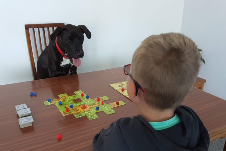 Two Player Board Games for Kids - Mr Cosmo the dog and a kid play a two player board game