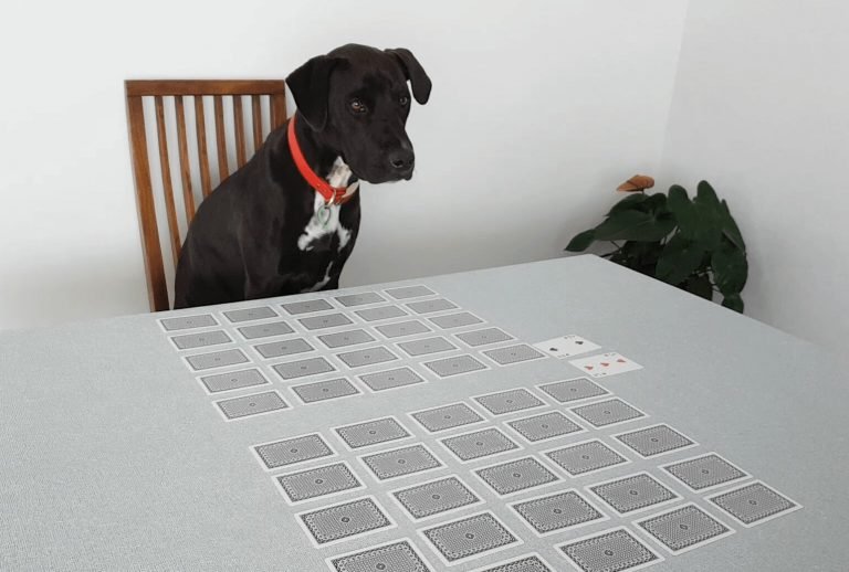 The setup for Sudoku Poker, a two player card game