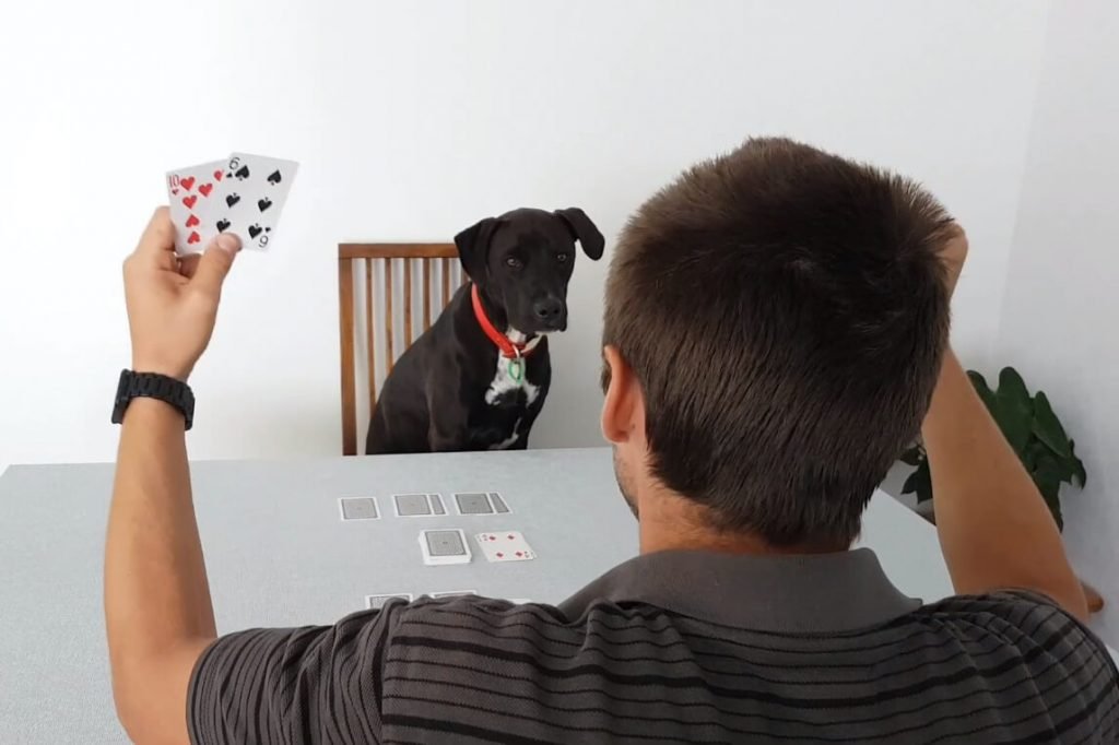 Two Player Card Games • Two Can Play That